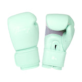 Muay Thai boxing gloves BGF09