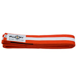 BJJ Belt-BTF01 For Kids